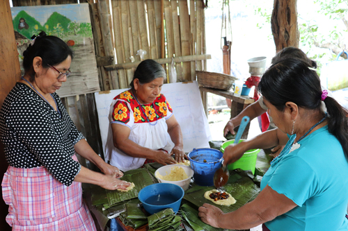 Mujeres nahuas preparan ayohchichikilli tamales de calabaza con frijol.