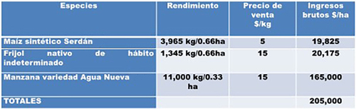 Rendimientos promedio de cinco años, precios de productos e ingresos totales de maíz, frijol y manzana bajo riego complementario en Huejotzingo, Puebla