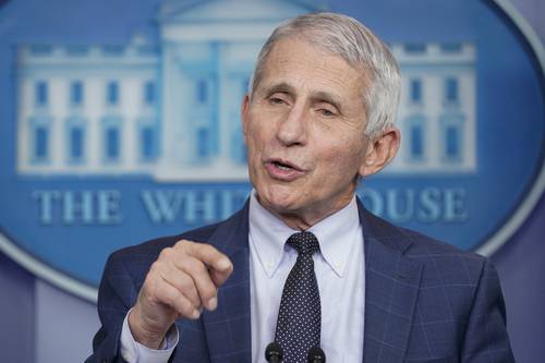 Anthony Fauci, director del Instituto Nacional de Alergias y Enfermedades Infecciosas de Estados Unidos.