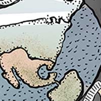 Mostrar el cartón