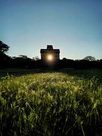 Ocaso de los mayas no se debió a sequía; plantas los habrían salvado