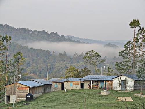 Denuncia el Frayba agresión de grupo armado a zapatistas