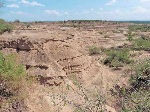 La edad del Homo sapiens sería más antigua de lo que se cree