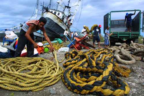 La sanción afectará a todas las personas de la cadena: pescadores, transportistas y comercializadores.