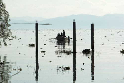 Niños del poblado de Mezcala, municipio de Poncitlán, Jalisco, pescan en el lago de Chapala, el cual presenta altos índices de contaminación que expertos relacionan con una elevada incidencia de enfermedades renales y cáncer en la región.
