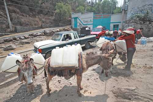 En la colonia Tecacalanco, en Xochimilco, hay quien acude con sus animales al pozo para acarrear agua.