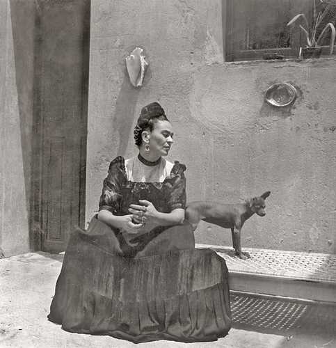 Fotografía Frida con perro xoloizcuintle en la Casa Azul, Coyoacán, Ciudad de México, ca. 1944, captada por Lola Álvarez Bravo.