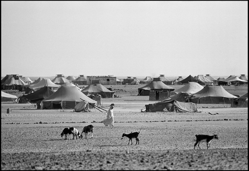 República Árabe Saharaui Democrática, 1982. Vista panorámica del campamento de refugiados saharauis en Tinduf, Argelia, donde una señora pastorea las chivas.
