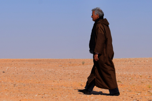 Caminante del desierto.  Diana Luna