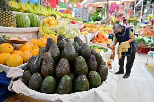 Michoacán es el mayor productor mundial de aguacate, y 80 por ciento de su producto se exporta a Estados Unidos.