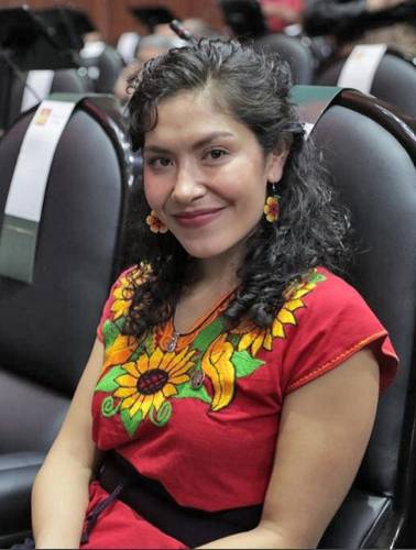 La parlamentaria federal por Durango, Celeste Sánchez Romero, pertenecía a la Comisión de Ciencia en el órgano legislativo.