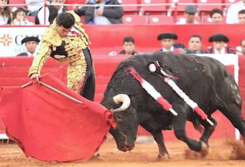 Jerónimo como el último exponente del toreo a la mexicana, cada vez más escaso, con eventuales imposturas de diestros importados.