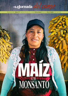 Maíz vs Monsanto