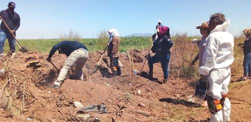 Cinco osamentas fueron localizadas en Cajeme, Sonora, el pasado domingo por el colectivo de mujeres Rastreadoras de Ciudad Obregón en un predio agrícola ubicado en las inmediaciones del Valle del Yaqui; hace una semana encontraron 22 cuerpos enterrados en patios de domicilios particulares. De mayo de 2019 a la fecha, la agrupación ha localizado 149 cadáveres en los municipios de Cajeme, Bácum y el Valle del Yaqui y ha recibido el reporte de más de 800 personas desaparecidas, la mayoría de entre 17 y 35 años.