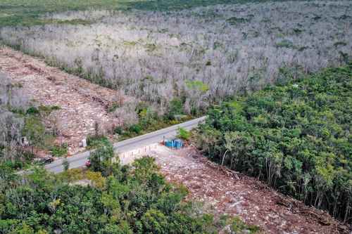 Parte del tramo 5 del Tren Maya, en Quintana Roo, que ha generado críticas al Presidente.