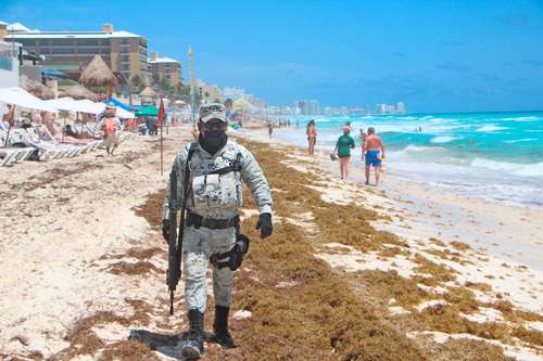 A unos días de que comience la Semana Santa, el sargazo se extiende en Cancún, Tulum, Playa del Carmen y otras playas de Quintana Roo. Hay 44 de la zona norte con recale excesivo de las algas; 13 más, con moderado; 19, con arribo muy bajo, y sólo cuatro limpias, de acuerdo al reporte de Red de Monitoreo del estado. En la imagen Playa Ballenas y Playa Gaviota Azul.