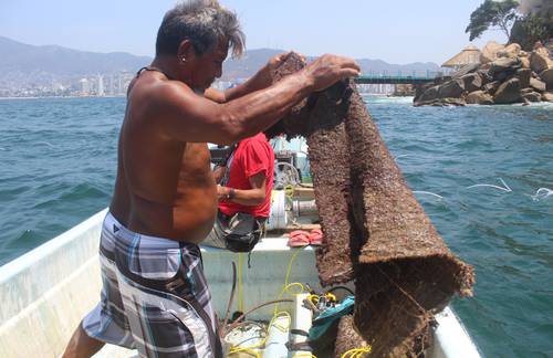 Prestadores de servicios de playa Icacos realizaron ayer labores de buceo para hallar desechos que vierten fraccionamientos residenciales al mar; encontraron una alfombra artificial que se suele utilizar para revestir el lecho marino, con la intención de rellenarlo con roca o cemento en labores de construcción.