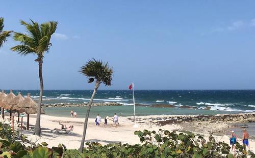 Al menos 30 playas de la entidad amanecieron libres de sargazo este sábado, lo que significa un respiro, ante las vacaciones de Semana Santa.