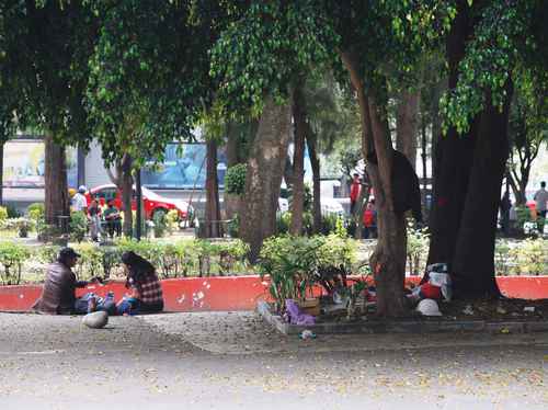 Los visitantes del parque López Velarde evitan acercarse al Paseo del Rock Mexicano.