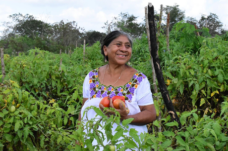 Campesina yucateca