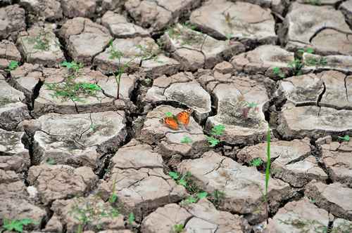 Información, clave contra el cambio climático: experta