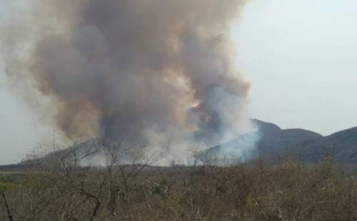 El incendio en la reserva de la biosfera El Cielo, en Tamaulipas, el área natural protegida más importante del noreste de México, ha dañado más de 6 mil hectáreas en 30 días, reportó la Comisión Nacional Forestal.
