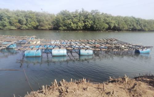 Pescadores de Nayarit acusan a trasnacional de destruir esteros