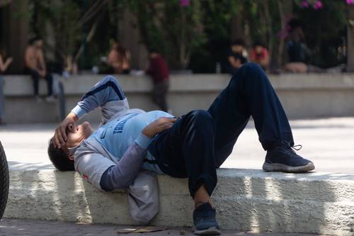 Remanso a la sombra en el parque México.
