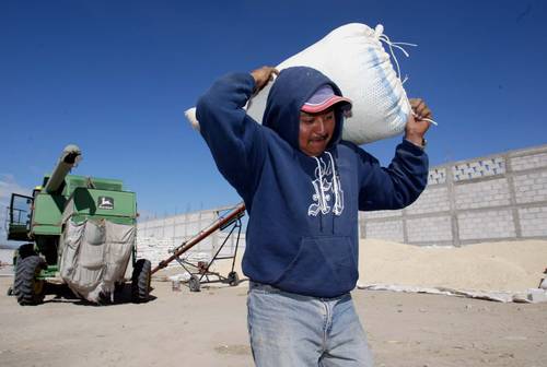 Maíz, producto que más importa México
<br>Gasto en importación de granos se dispara por el conflicto bélico