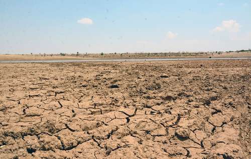 Las entidades del norte son las que más padecen la sequía. La imagen corresponde a Zacatecas.