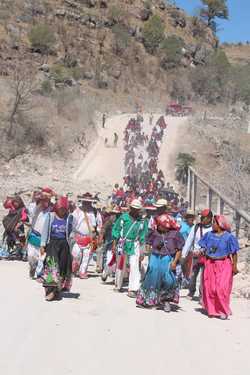 Inician wixaritari marcha a la CDMX; exigen devolución de tierras invadidas