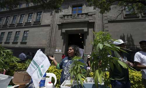 La Corte declaró inconstitucional penalizar la posesión de más de cinco gramos de mariguana, mientras afuera activistas defendían el uso de la yerba.