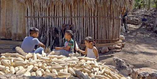  Fotograma de Monte, milpa, solar, de Pepe Perruccio, Foto 