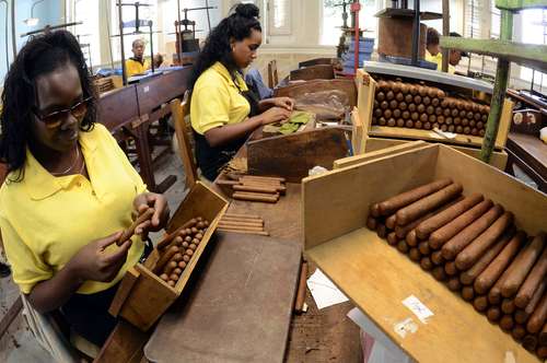 Los habanos hechos a mano son considerados por muchos como los mejores puros del mundo.