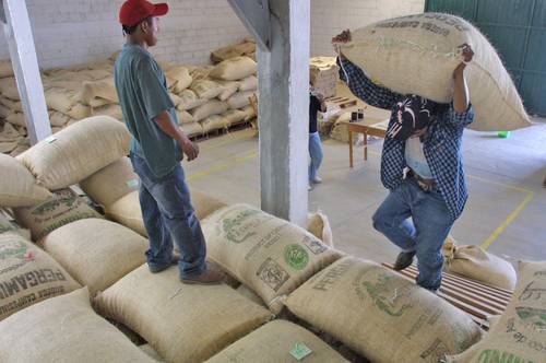 En la coyuntura de crisis de bienes básicos, el campo mexicano registra más ventas a otros países, pero también más compras. En la imagen, caficultores de Chiapas.