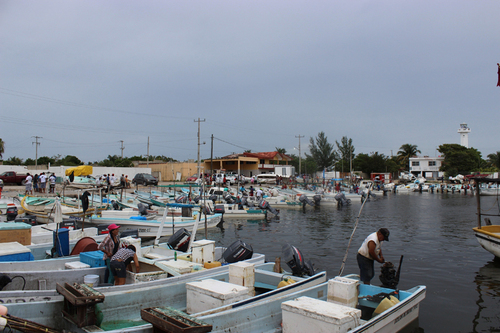 Mujeres y jóvenes apoyando las labores de pesca en Dzilam de Bravo, Yucatán.  E. Coronado