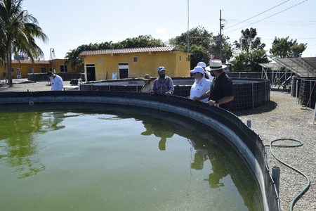 La Acuacultura, altermativa para la seguridad alimentaria.  INPESCA