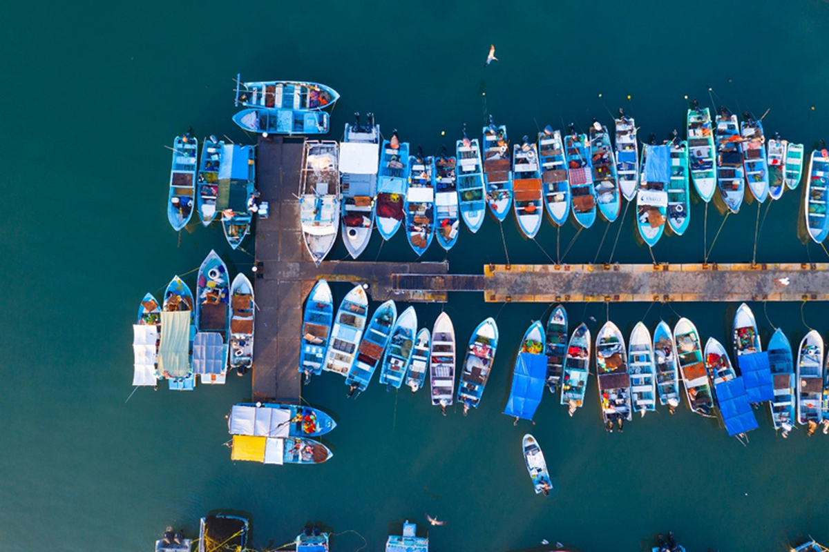 Pesca y acuicultura: oportunidad para el desarrollo sostenible