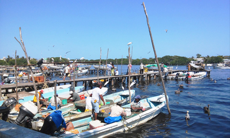 Flota de pesca artesanal de camarón siete barbas en Campeche. R. Lara