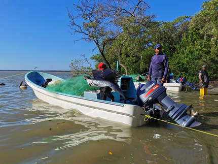 Embarcaciones artesanales del Golfo de México. R. Lara