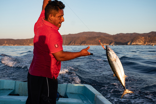 Pesca de barriete en Oaxaca.  C. Aguilera