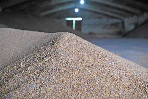 Tras la invasión rusa a Ucrania, el grano se ha encarecido más de 46 dólares por tonelada.