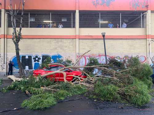 Hoy seguirán las lluvias y el aire con rachas hasta de 45 kilómetros por hora en la capital. Ayer, en Xochimilco las precipitaciones estuvieron acompañadas por granizo, por lo que hubo encharcamientos y caída de árboles.