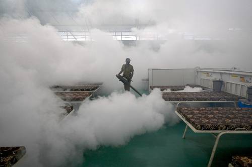 Un trabajador fumiga un hospital en Bombay, India, que será destinado a atender casos de coronavirus.