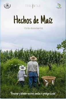 Corto: Hechos de maíz