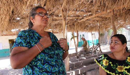 María de Jesús López Valenzuela, Doña Chuyita, iniciando la reunión de parteras tradicionales organizado por ella en Potan, Sonora. Octavio Hernández
