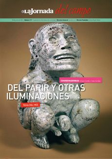 DEL PARIR Y OTRAS ILUMINACIONES