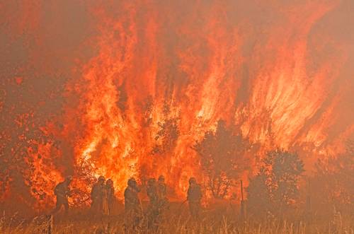 Los bomberos de España y Alemania combaten incendios forestales ante una ola de calor inusual para esta época del año en Europa. En la provincia de Zamora (en la imagen), se han consumido más de 25 mil hectáreas, indicaron autoridades regionales. En tanto, ayer el gobierno alemán ordenó la evacuación de tres poblados cercanos a Berlín debido a la proximidad del fuego. La falta de lluvias este año y constantes ráfagas de viento han generado condiciones favorables para los incendios.