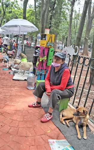  En el parque México, de la colonia Hipódromo, personas que han rescatado a perros de la calle invitan a adoptarlos. Foto Marco Peláez