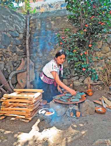 Consumir de la milpa es vital para la salud y el campo: Luis Gutiérrez